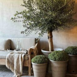 Buitenpot Aura Peeperkorn 36 x 36 cm